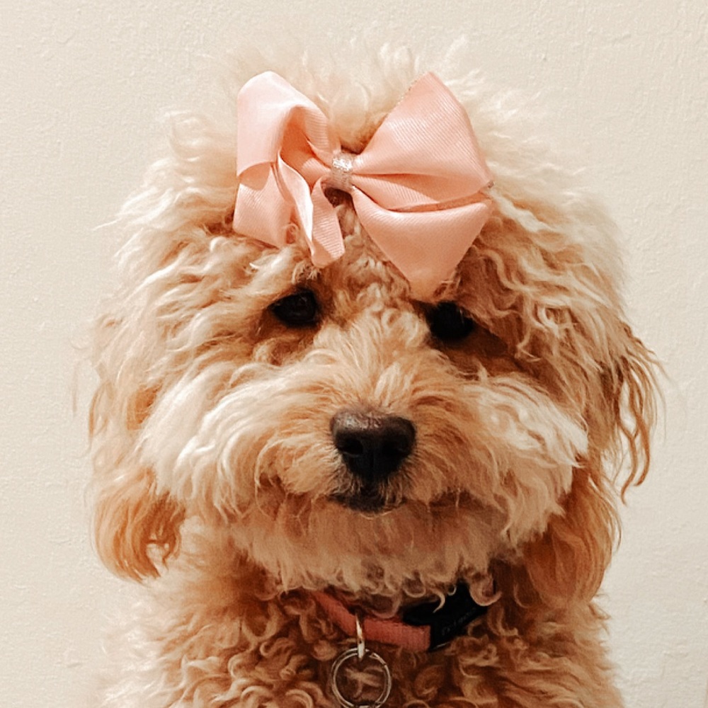 Meet your Posher, Aimee